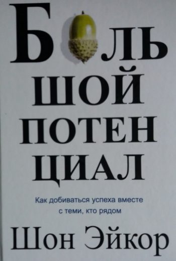 Шон Эйкор. Большой потенциал. Как добиваться успеха вместе с теми, кто рядом