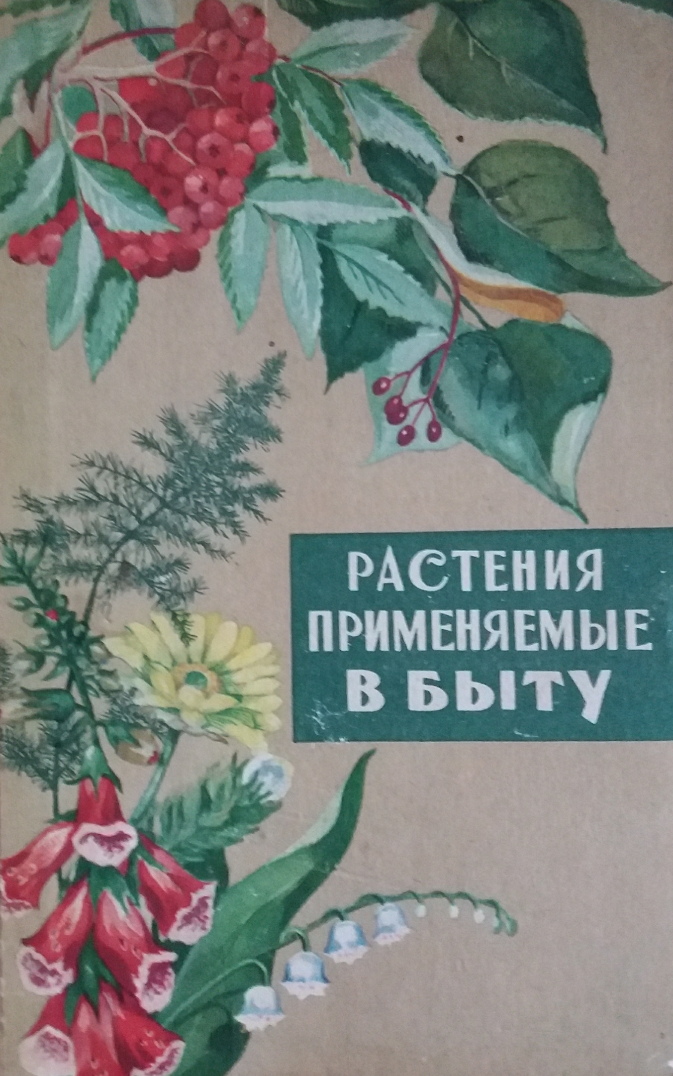 Ф. Карев. Растения применяемые в быту Ф. Карев. Растения применяемые в быту