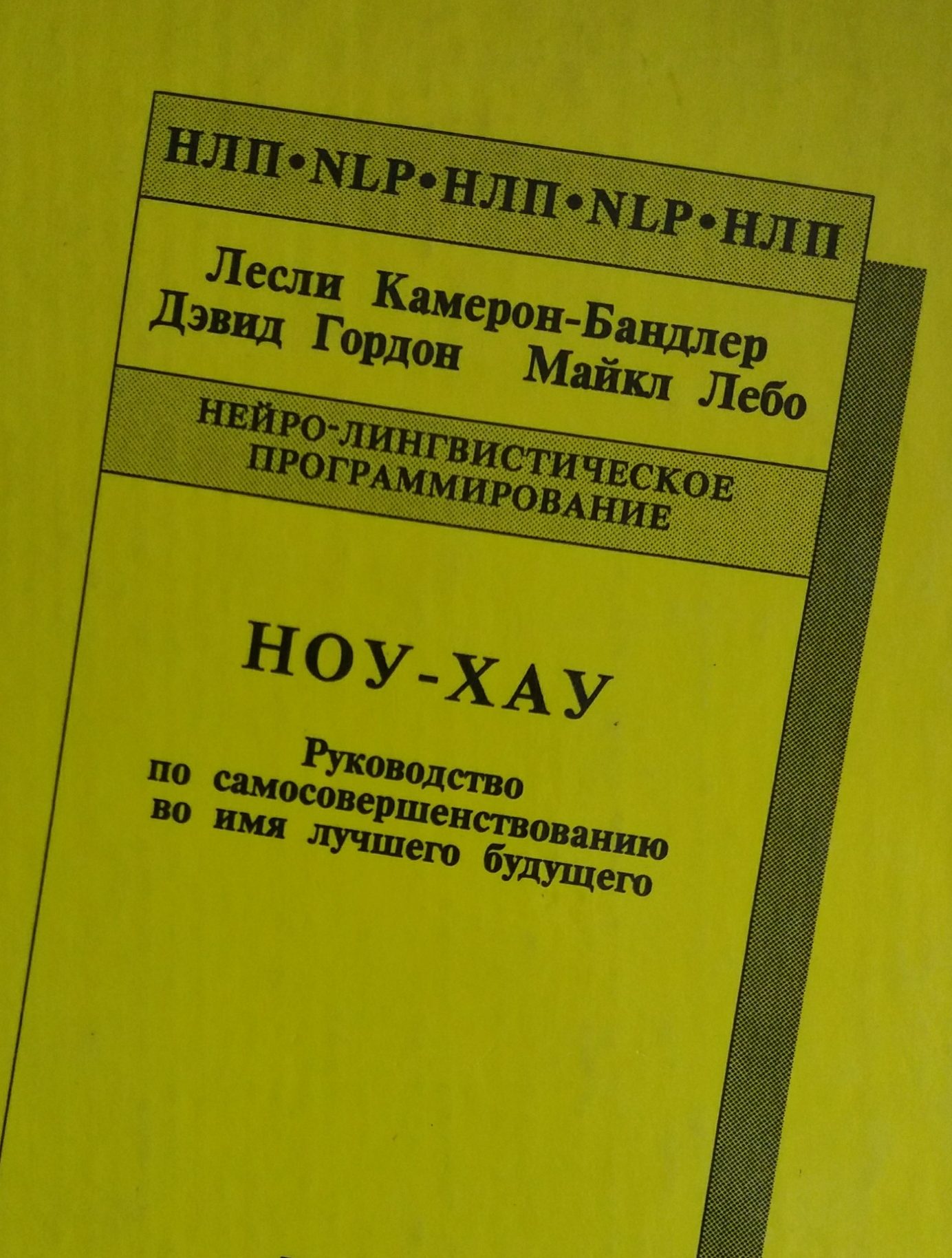 Л. Камерон-Бандлер. Ноу-хау. Руководство по самосовершенствованию во имя лучшего будущего Л. Камерон-Бандлер. Ноу-хау. Руководство по самосовершенствованию во имя лучшего будущего