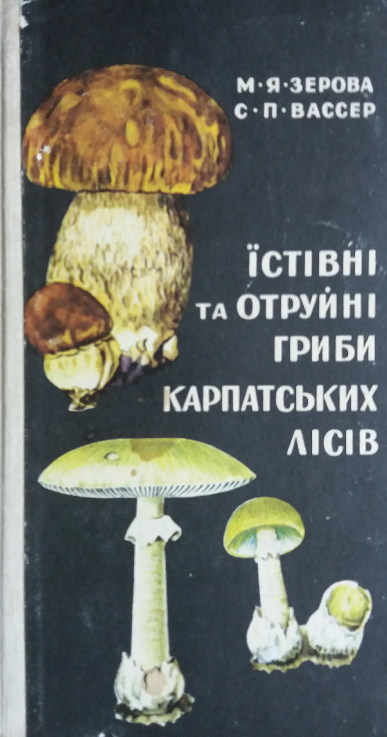 М. Зерова/ С. Вассер. Їстівні та отруйні гриби Карпатських лісів М. Зерова/ С. Вассер. Їстівні та отруйні гриби Карпатських лісів