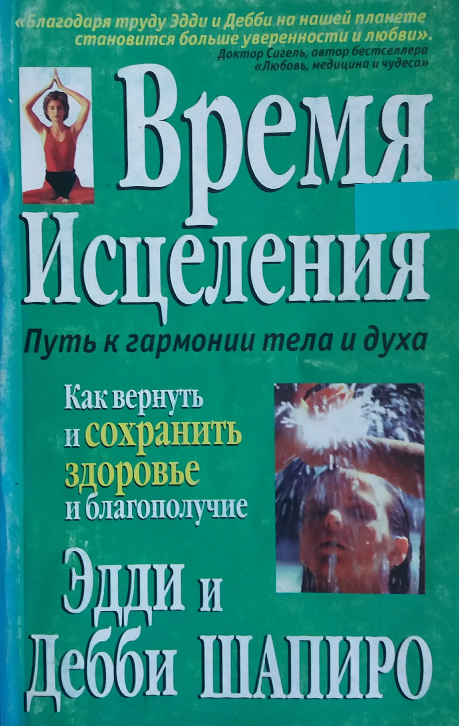 Э. Шапиро. Время Исцеления. Как вернуть и сохранить здоровье Э. Шапиро. Время Исцеления. Как вернуть и сохранить здоровье