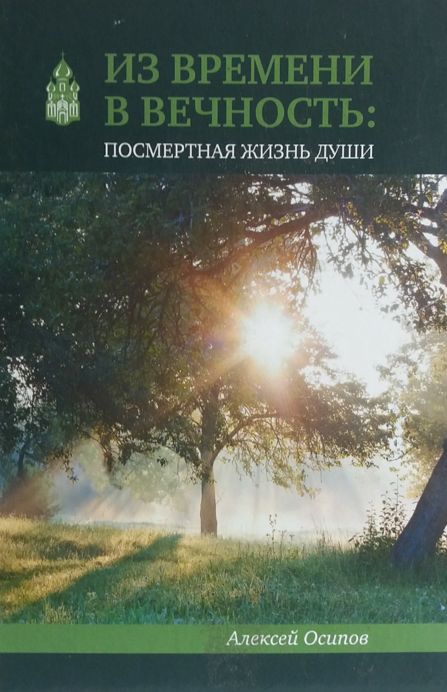 А. Осипов. Из времени в вечность. Посмертная жизнь Души А. Осипов. Из времени в вечность. Посмертная жизнь Души