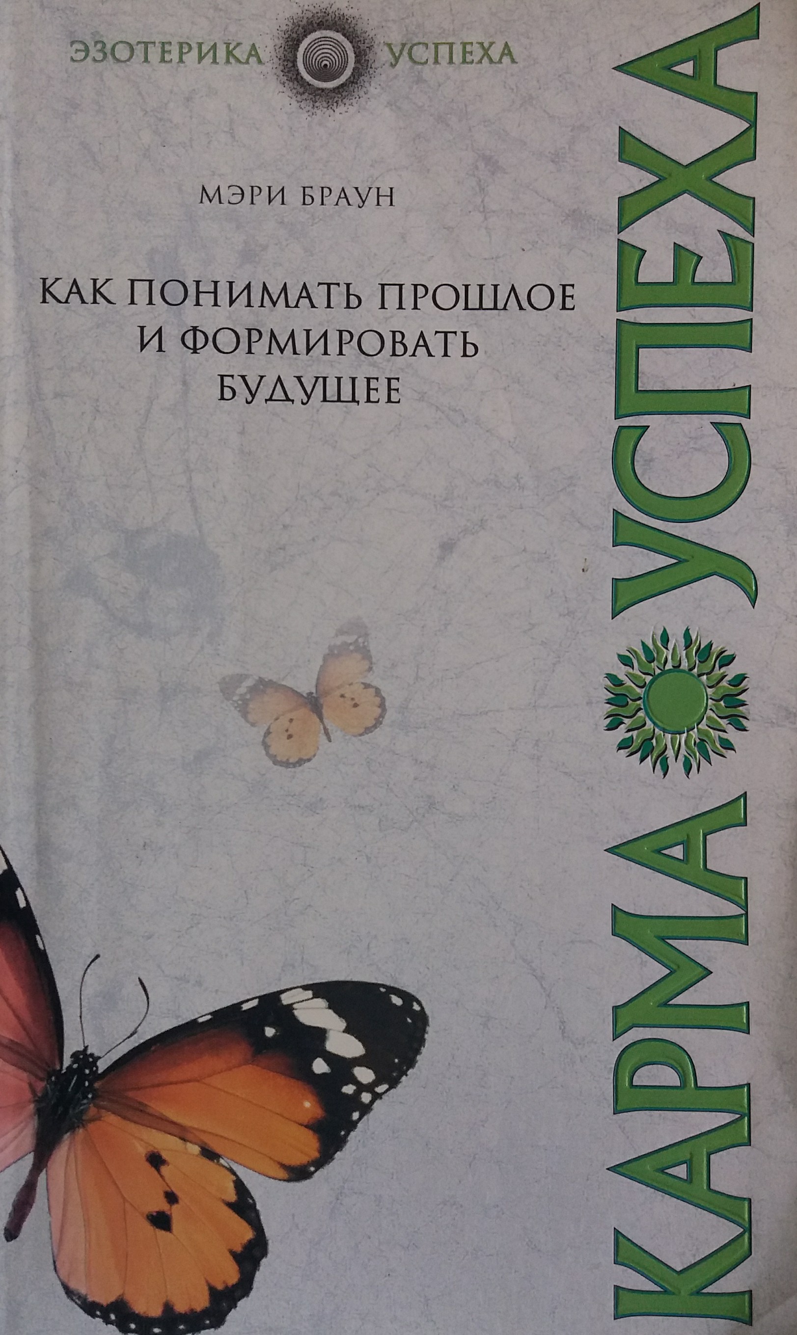 Мэри Браун. Как понимать прошлое и формировать будущее Мэри Браун. Как понимать прошлое и формировать будущее
