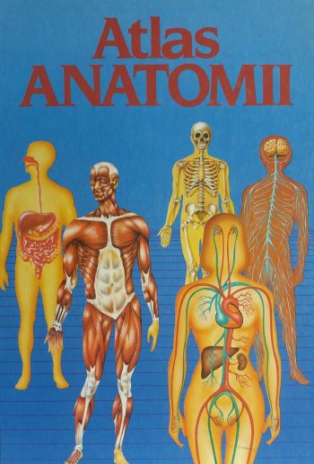 Dr. Enric Cil de Bernabe Ortega. Atlas anatomii