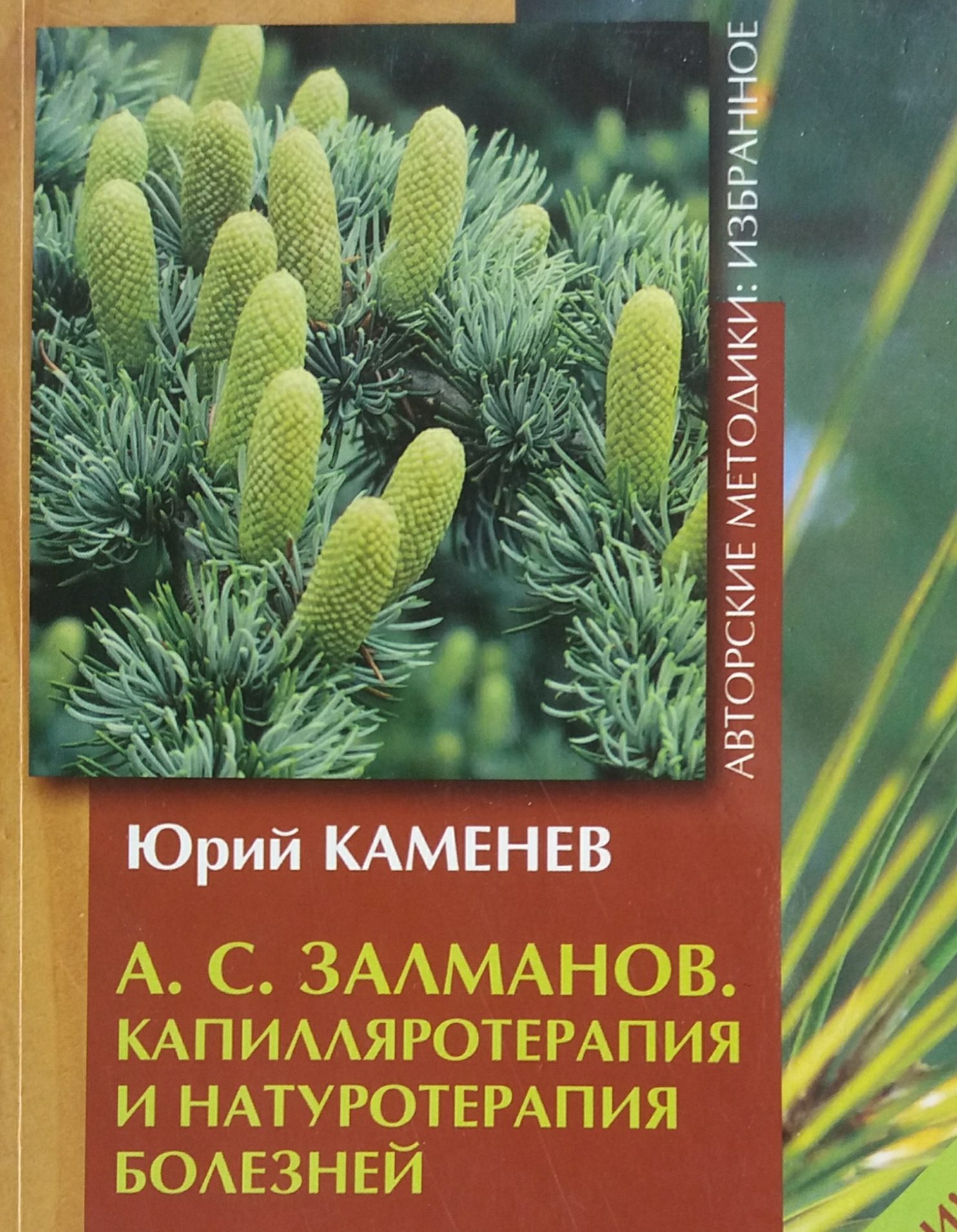 Ю. Каменев. А. Залманов. Капилляротерапия и натуротерапия болезней Ю. Каменев. А. Залманов. Капилляротерапия и натуротерапия болезней
