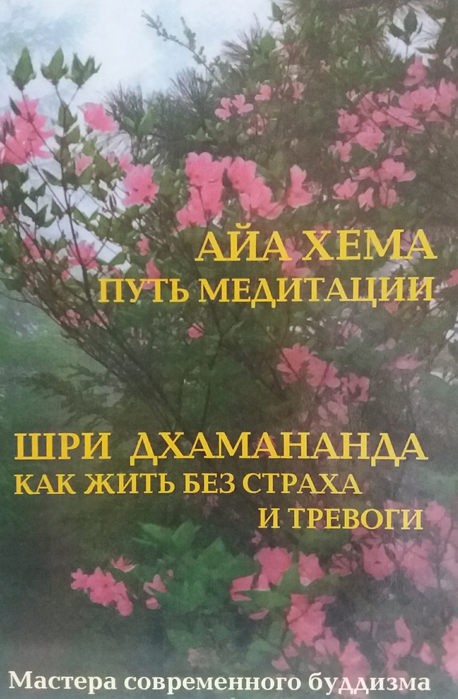 Айа Хема. Путь медитации/ Шри Дхамананда. Как жить без страха и тревоги Айа Хема. Путь медитации/ Шри Дхамананда. Как жить без страха и тревоги