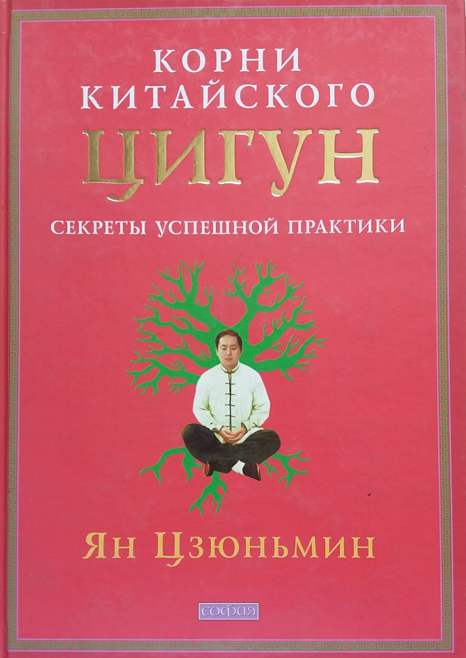 Ян Цзюньмин. Корни китайского цигун. Секреты успешной практики. Ян Цзюньмин. Корни китайского цигун. Секреты успешной практики.