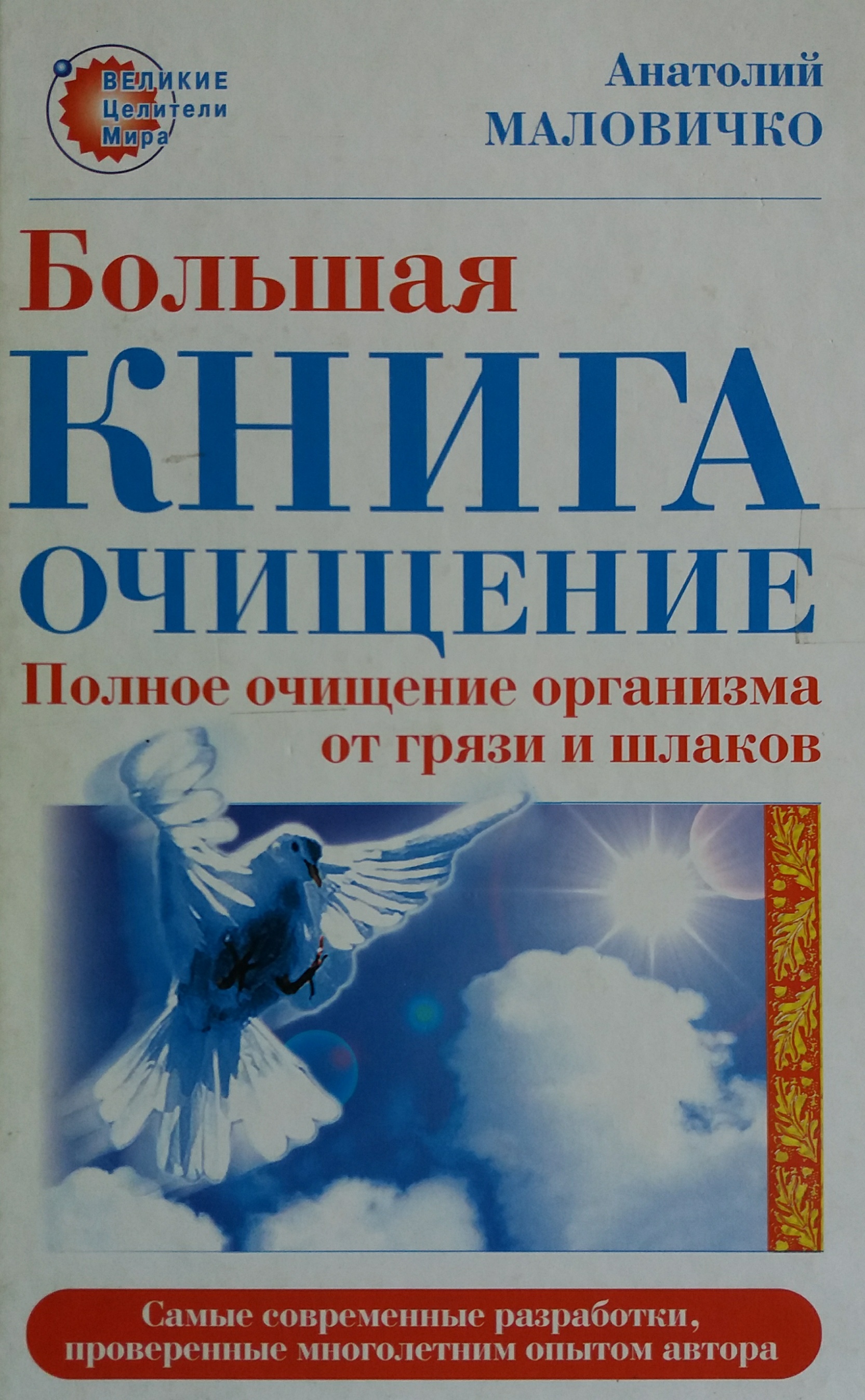 А. Маловичко. Большая книга очищение. Полное очищение организма от грязи и шлаков А. Маловичко. Большая книга очищение. Полное очищение организма от грязи и шлаков