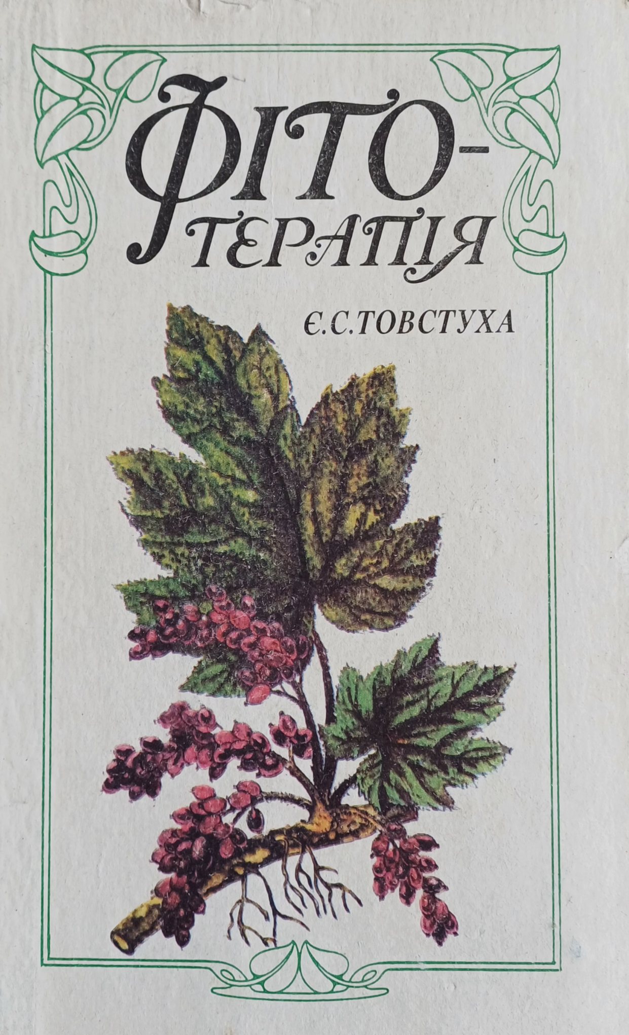Є. Товстуха. Фітотерапія Є. Товстуха. Фітотерапія
